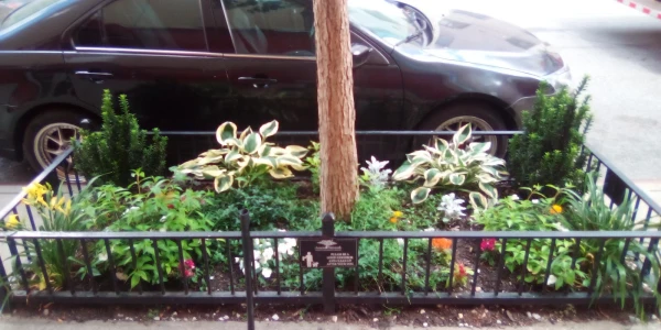 Arise Treatment Center