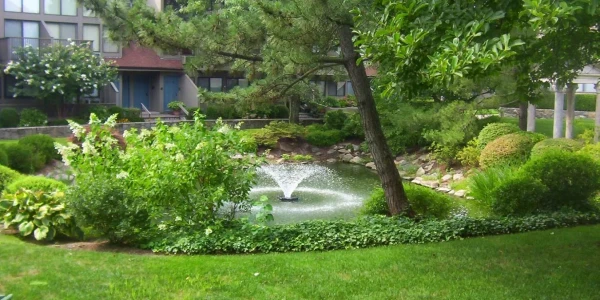 The Renfrew Center White Plains