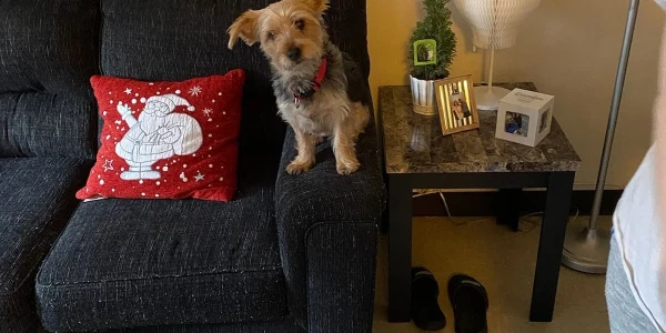 Lafayette Medical Approach