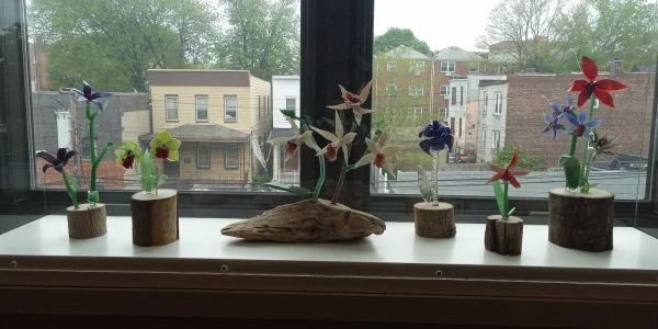 Wakefield Adult Outpatient Psychiatry Program