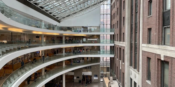 NYC Health Hospitals - Bellevue